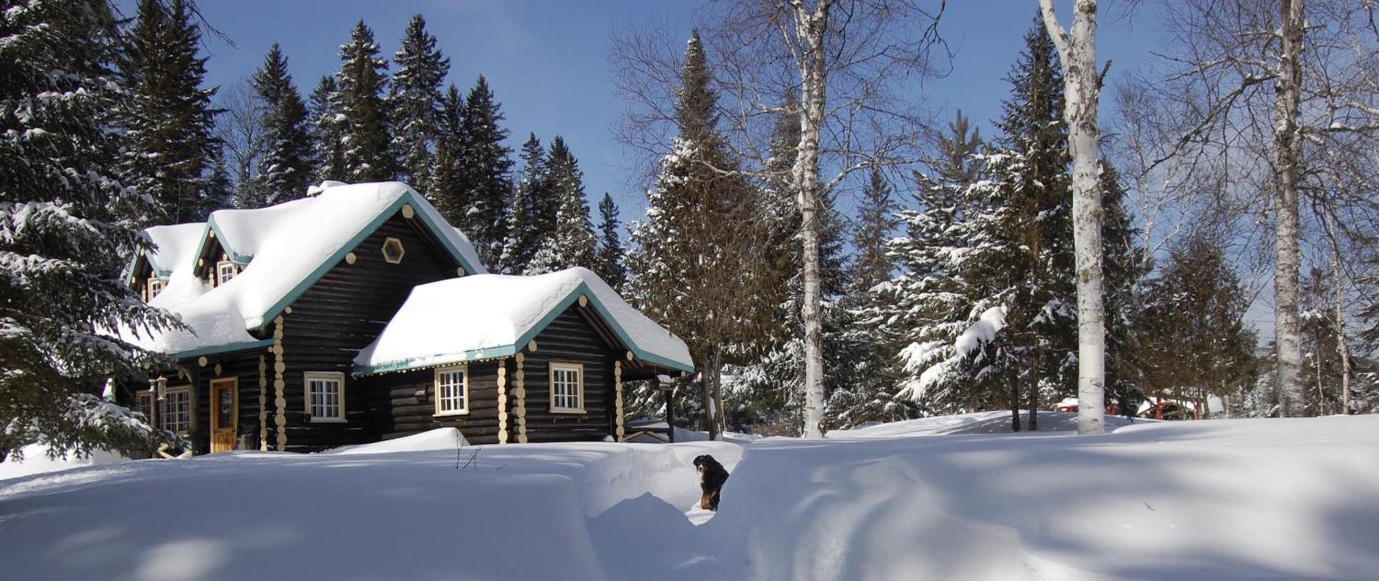 Domaine Le Bostonnais - Le Village En Bois Rond La Tuque Exterior foto